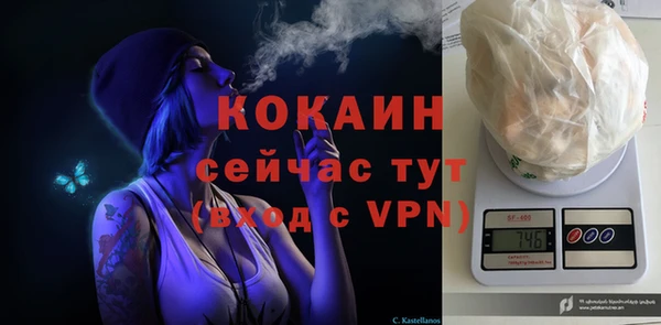 амф Абаза