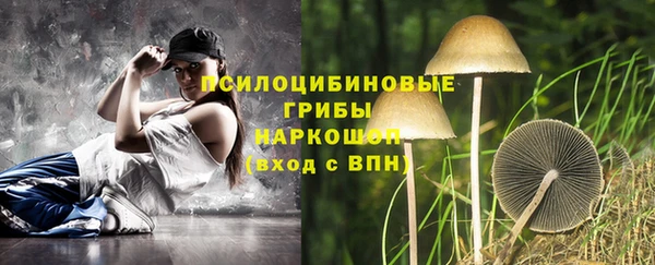 прущие грибы Абинск