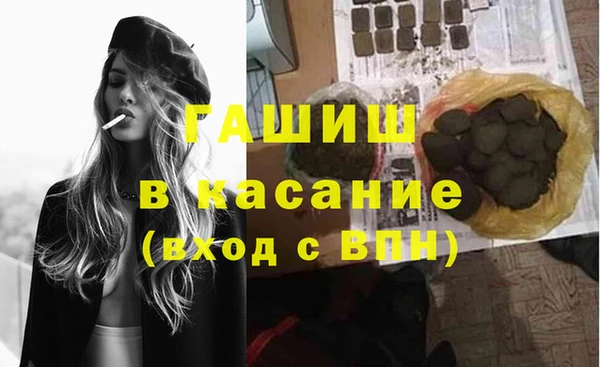 прущие грибы Абинск