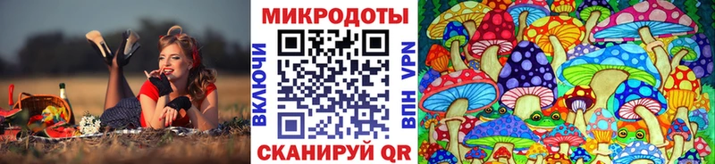 Галлюциногенные грибы ЛСД  Сольцы 