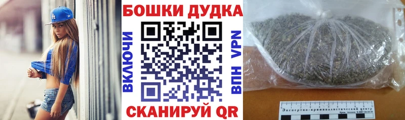 MEGA как войти  Сольцы  Бошки Шишки Bruce Banner 